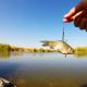 How and what to catch a catfish during fishing in different ways