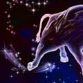 Tarot horoscope for Taurus for December