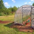 Paano pumili ng pinakamahusay na polycarbonate greenhouse: payo ng eksperto