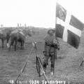Denmark and its armed forces State of the army at the beginning of the war