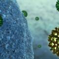 Genomföra genotypning av hepatit C och vilken genotyp är farligast?