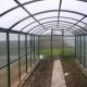 Preparing a greenhouse for spring: treatment before planting against pests and diseases Preparing a polycarbonate greenhouse for planting in spring